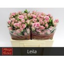 R branchue LEILA 50 - Minaye Flowers