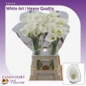 calla blanc ART - Zandvoort Flowers