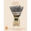 Limonium Skylight - Savannah Blooms