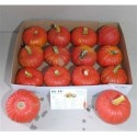 CucURBITA P Rouge D Tampt X12 - Green Flor BV